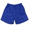 Alleson 580PY Youth Nylon Mesh Shorts